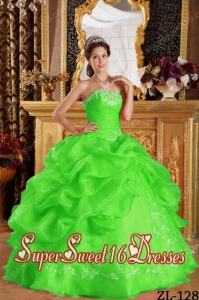 Beautiful Embroidery Organza 15th Birthday Party Dresses in Spring Green