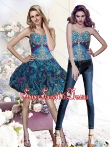 2015 Super Hot Appliques and Pick Ups Multi Color Quinceanera Dama Dresses