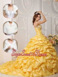 Classical Court Train Quinceanera Gowns with Pick Ups and Appliques