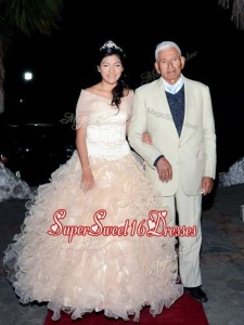 New Arrivals Sweetheart Really Puffy Quinceanera Dress with Beading and Ruffles