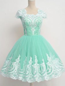 Cheap Apple Green Zipper Square Lace Court Dresses for Sweet 16 Tulle Cap Sleeves