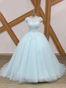 Luxurious Sleeveless Brush Train Zipper Beading and Lace Quinceanera Dresses