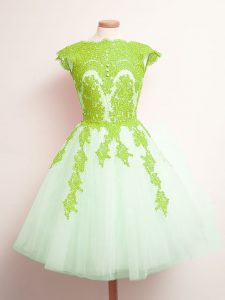 Flare Lace Up Quinceanera Court Dresses Appliques Sleeveless Mini Length