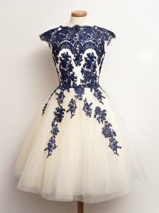Artistic Sleeveless Tulle Mini Length Lace Up Quinceanera Court Dresses in Blue And White with Appliques