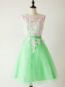Dazzling Knee Length A-line Sleeveless Apple Green Court Dresses for Sweet 16 Lace Up