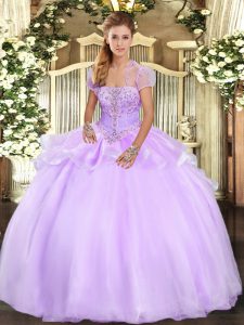 Lavender Organza Lace Up 15 Quinceanera Dress Sleeveless Floor Length Appliques