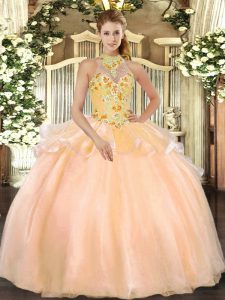Peach Ball Gowns Embroidery Sweet 16 Dress Lace Up Organza Sleeveless Floor Length