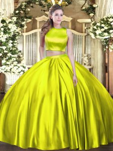 Elegant Olive Green Tulle Criss Cross Quince Ball Gowns Sleeveless Floor Length Ruching