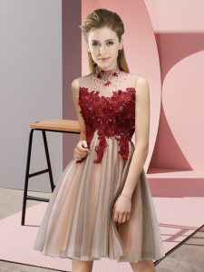 Pink Sleeveless Tulle Lace Up Dama Dress for Prom and Party and Wedding Party