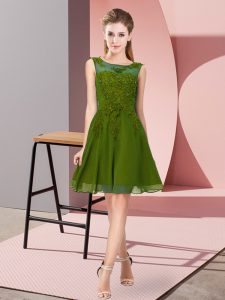 Wonderful Knee Length Empire Sleeveless Olive Green Dama Dress Zipper