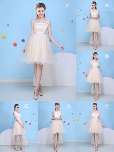 Tulle Strapless Sleeveless Lace Up Bowknot Quinceanera Court of Honor Dress in Champagne