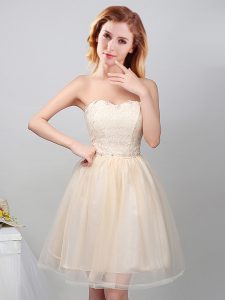 Champagne A-line Tulle Sweetheart Sleeveless Lace and Appliques Mini Length Lace Up Quinceanera Dama Dress