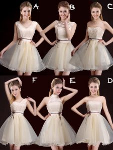 Perfect Champagne Sleeveless Mini Length Lace and Appliques and Belt Lace Up Quinceanera Dama Dress
