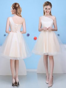 Beautiful Tulle One Shoulder Sleeveless Lace Up Bowknot Vestidos de Damas in Champagne