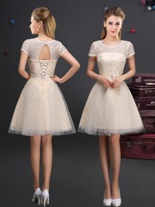 Captivating Scoop Champagne Tulle Lace Up Quinceanera Dama Dress Short Sleeves Mini Length Lace and Appliques and Belt