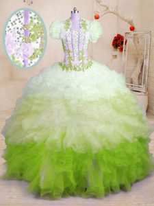 Decent Sweetheart Sleeveless Sweet 16 Quinceanera Dress With Brush Train Beading and Appliques and Ruffles Multi-color Organza