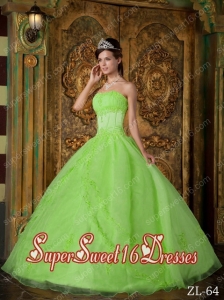 Ball Gown Strapless Appliques Organza Cheap Sweet Sixteen Dresses in Spring Green