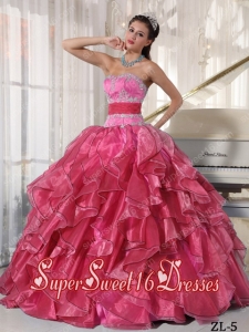 Cute Sweet Sixteen Dresses Strapless Ball Gown With Organza Appliques