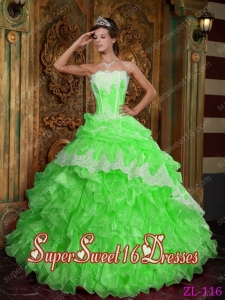 Spring Green Ball Gown Strapless Custom Made Organza Quinceanera Dress with Ruffles
