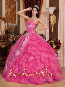 Hot Pink Sweetheart Ball Gown Organza Beading Popular Sweet 16 Dresses
