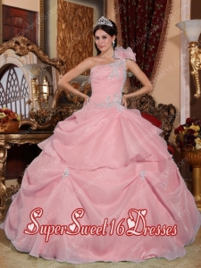 Pink Ball Gown One Shoulder With Organza Appliques In Plus Size For Sweet 16 Dresses