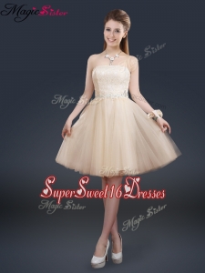 Fashionable Strapless Lace Champagne Quinceanera Dama Dresses