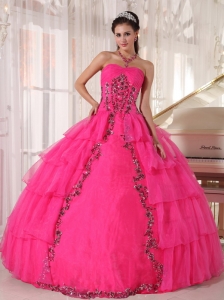 Fashionable Hot Pink Sweet 16 Dress Sweetheart Organza Paillette Ball Gown
