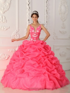 Lovely Watermelon Sweet 16 Dress Straps Satin and Organza Appliques Ball Gown
