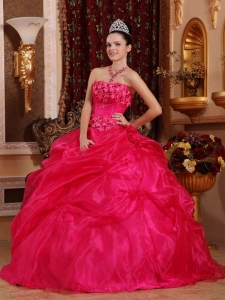 Cute Hot Pink Sweet 16 Dress Strapless Organza Appliques Ball Gown