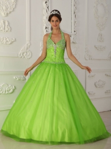 Simple Spring Green Sweet 16 Quinceanera Dress Halter Tulle Beading