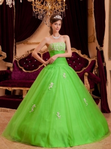 Simple Spring Green Sweet 16 Dress Strapless Appliques Tulle / Princess