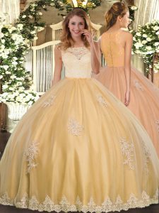 Decent Tulle Scoop Sleeveless Clasp Handle Lace and Appliques Quinceanera Dresses in Gold