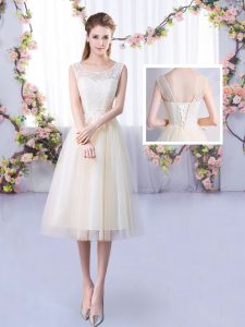 Noble Champagne Lace Up Quinceanera Dama Dress Lace Sleeveless Tea Length