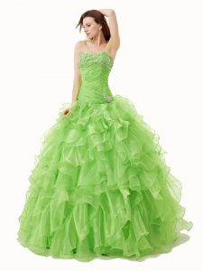Fitting Organza Lace Up 15 Quinceanera Dress Sleeveless Floor Length Beading and Ruffles